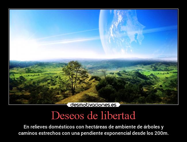 Deseos de libertad - En relieves domésticos con hectáreas de ambiente de árboles y
caminos estrechos con una pendiente exponencial desde los 200m.