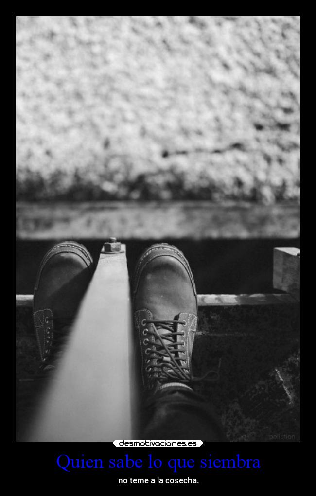 carteles desmotivaciones dicho elcelebrodelmoha desmotivaciones