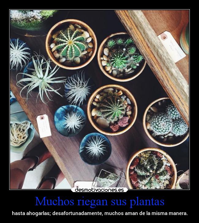 carteles desmotivaciones elcelebrodelmoha plantas desmotivaciones