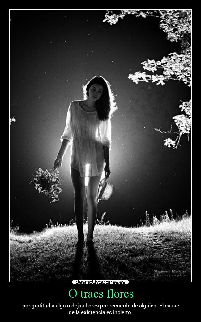 O traes flores - por gratitud a algo o dejas flores por recuerdo de alguien. El cause
de la existencia es incierto.