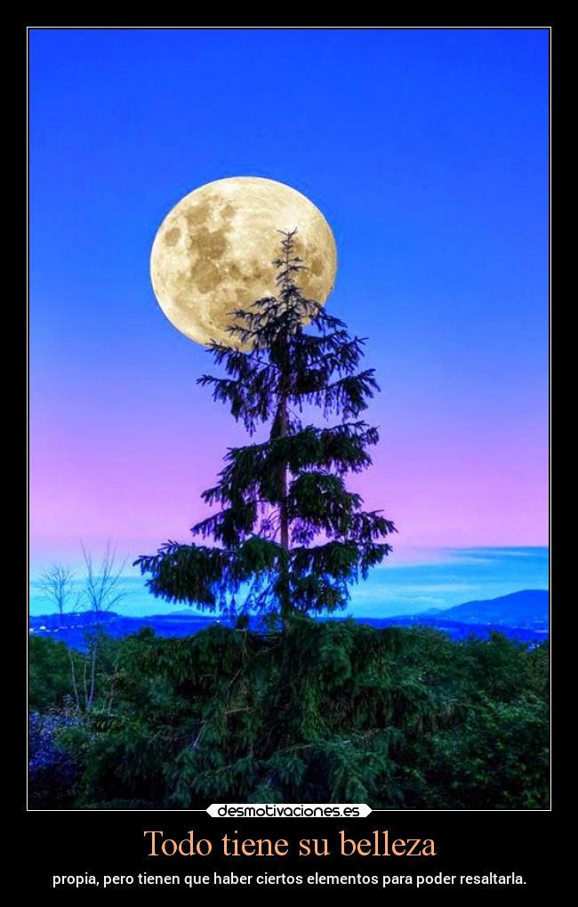 Todo tiene su belleza - propia, pero tienen que haber ciertos elementos para poder resaltarla.