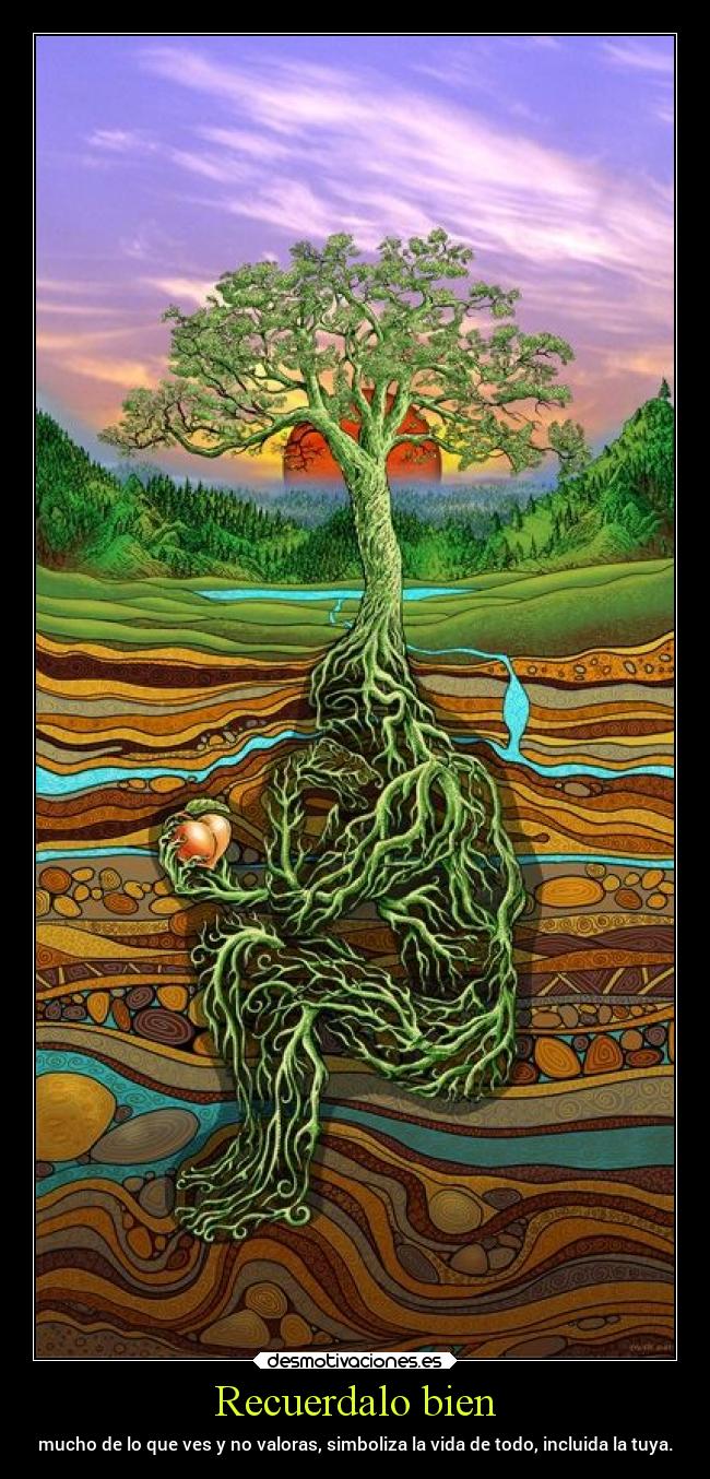 Recuerdalo bien - mucho de lo que ves y no valoras, simboliza la vida de todo, incluida la tuya.
