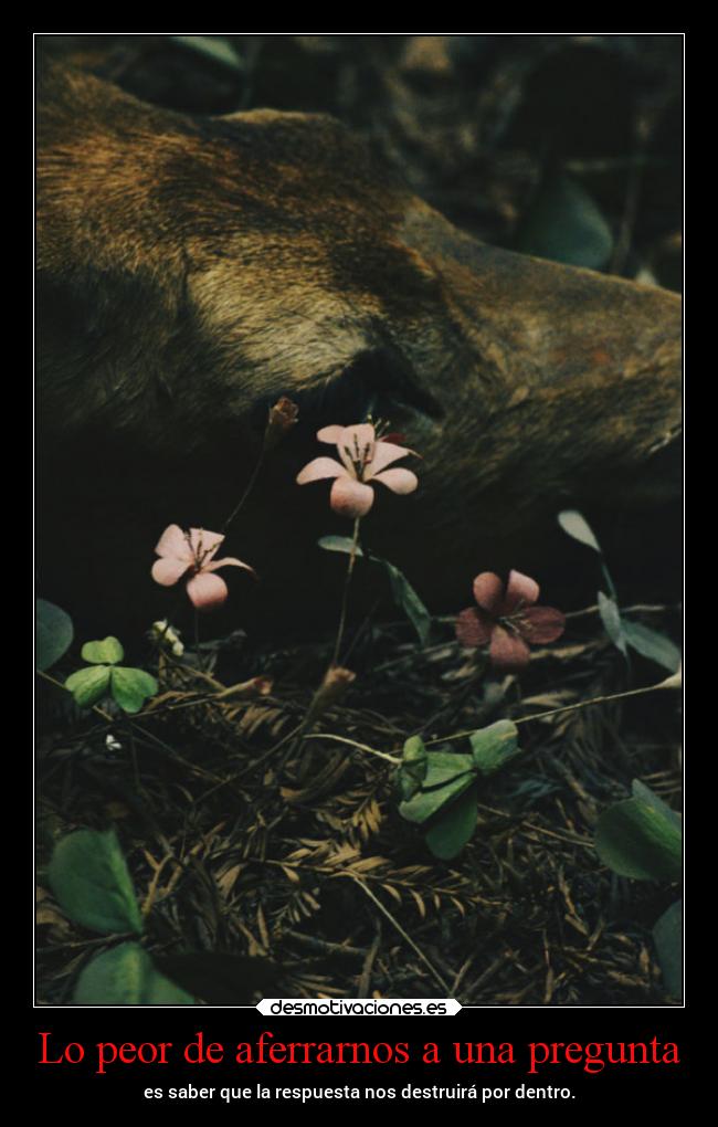 Lo peor de aferrarnos a una pregunta - es saber que la respuesta nos destruirá por dentro.