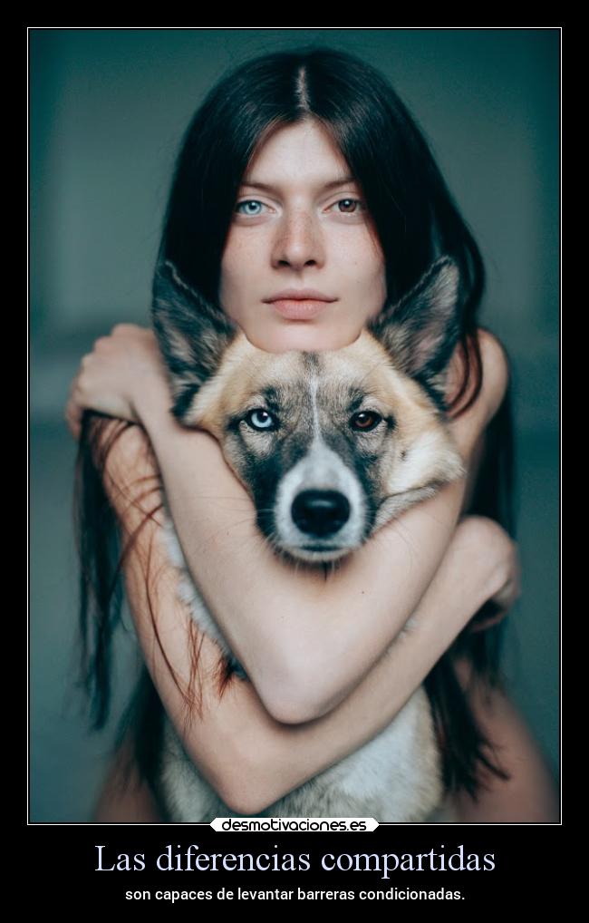 Las diferencias compartidas - son capaces de levantar barreras condicionadas.