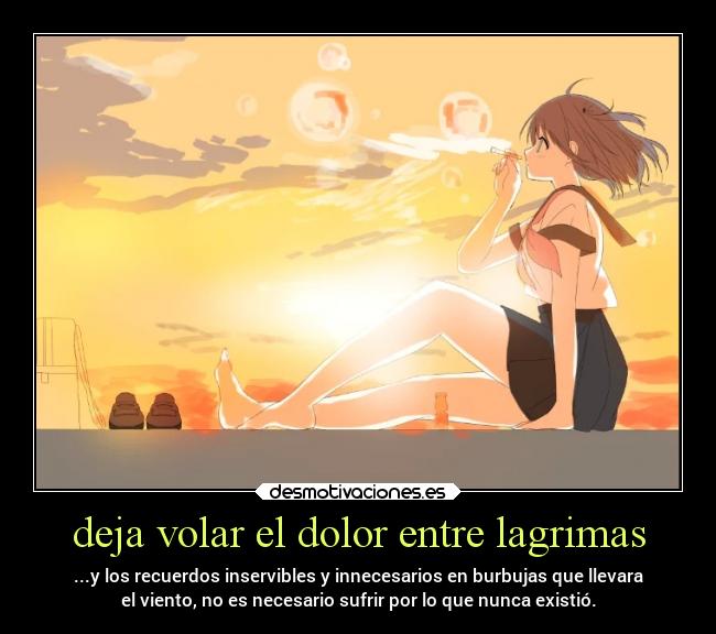 deja volar el dolor entre lagrimas - ...y los recuerdos inservibles y innecesarios en burbujas que llevara
el viento, no es necesario sufrir por lo que nunca existió.