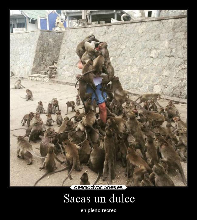 Sacas un dulce - 