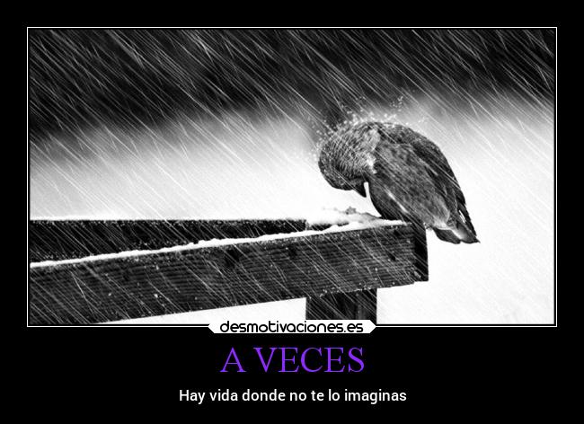 A VECES - Hay vida donde no te lo imaginas
