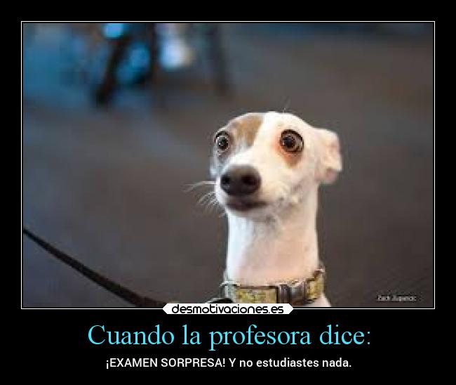 Cuando la profesora dice: - ¡EXAMEN SORPRESA! Y no estudiastes nada.