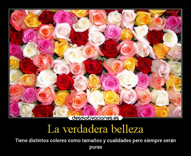 La verdadera belleza - Tiene distintos colores como tamaños y cualidades pero siempre serán
puras