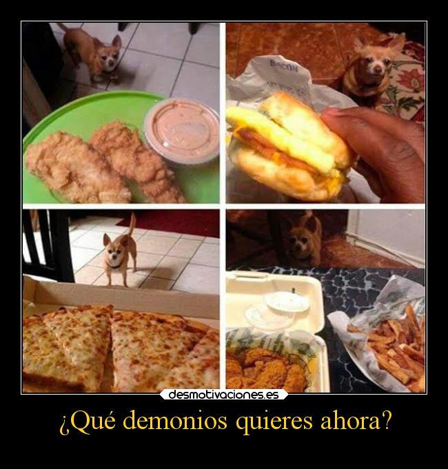 ¿Qué demonios quieres ahora? - 
