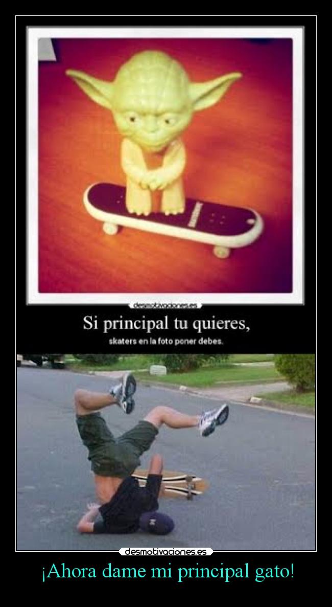 ¡Ahora dame mi principal gato! - 