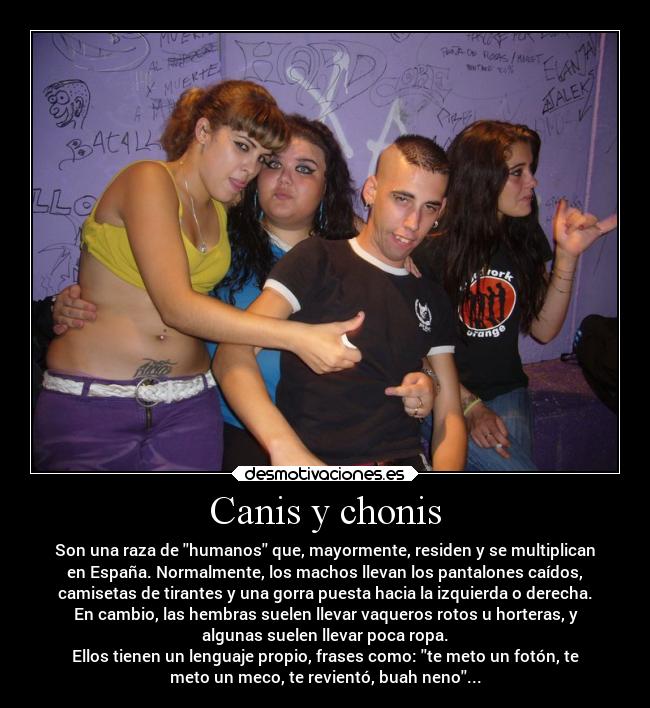 carteles humor graciosas canis chonis pereira5 desmotivaciones