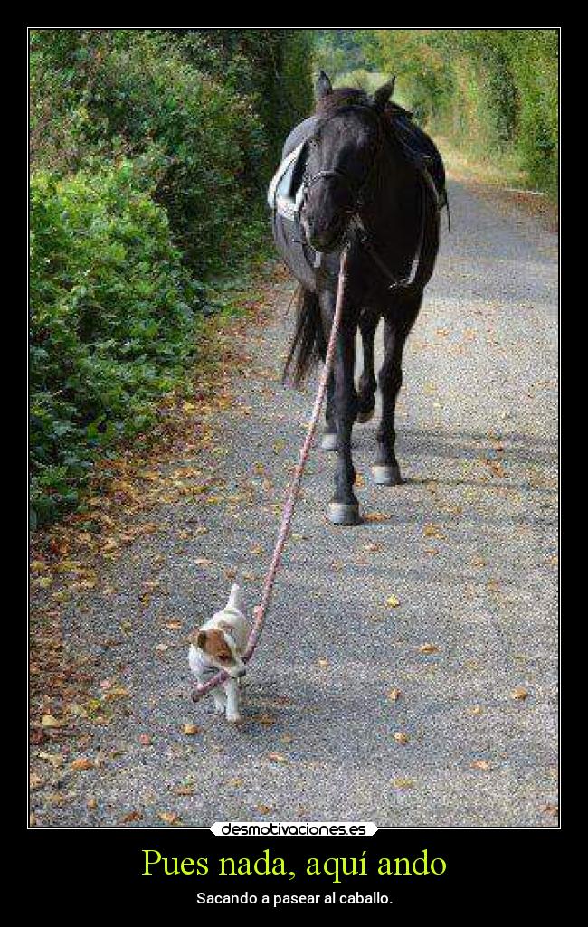 Pues nada, aquí ando - 