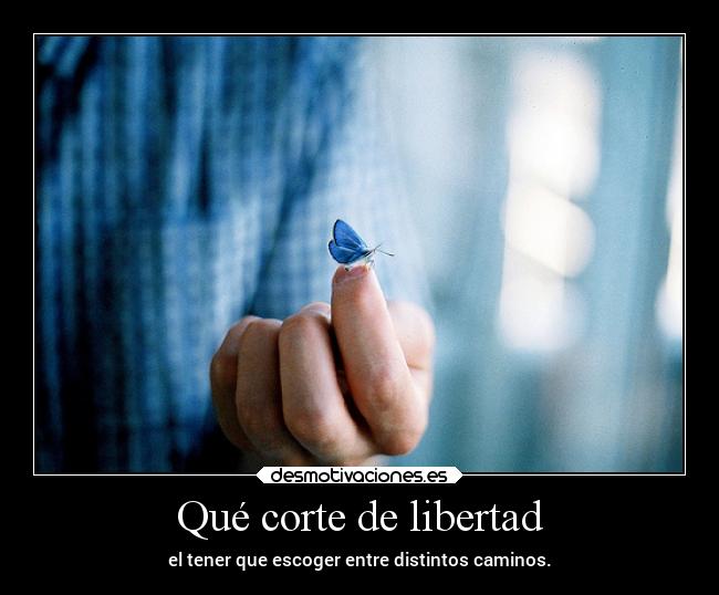 Qué corte de libertad - 