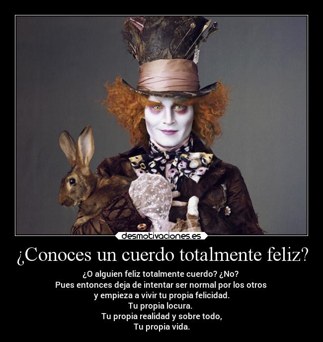 ¿Conoces un cuerdo totalmente feliz? - 