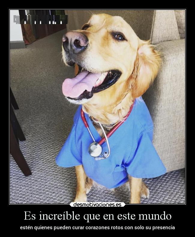 Es increíble que en este mundo - estén quienes pueden curar corazones rotos con solo su presencia