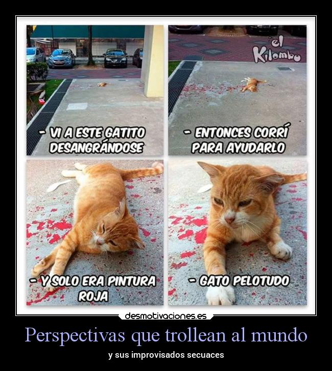 Perspectivas que trollean al mundo - y sus improvisados secuaces