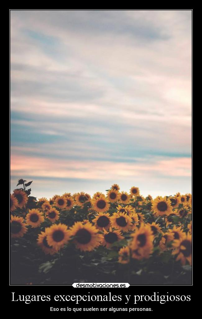 Lugares excepcionales y prodigiosos - 