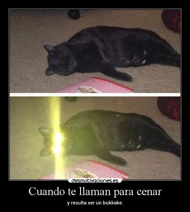 Cuando te llaman para cenar - y resulta ser un bukkake.