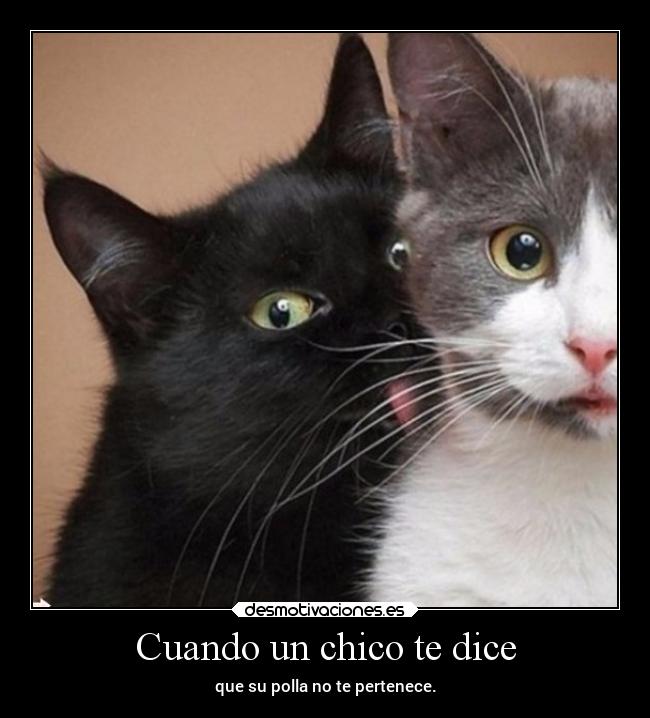 Cuando un chico te dice - que su polla no te pertenece.