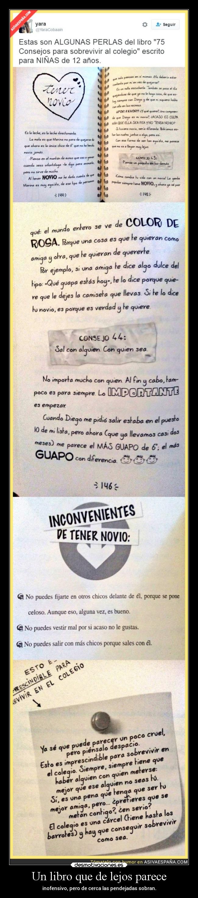 Un libro que de lejos parece -