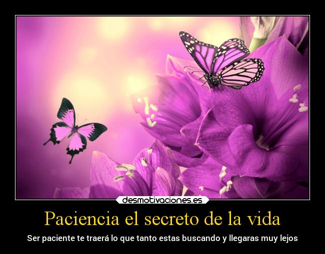 Paciencia el secreto de la vida - Ser paciente te traerá lo que tanto estas buscando y llegaras muy lejos