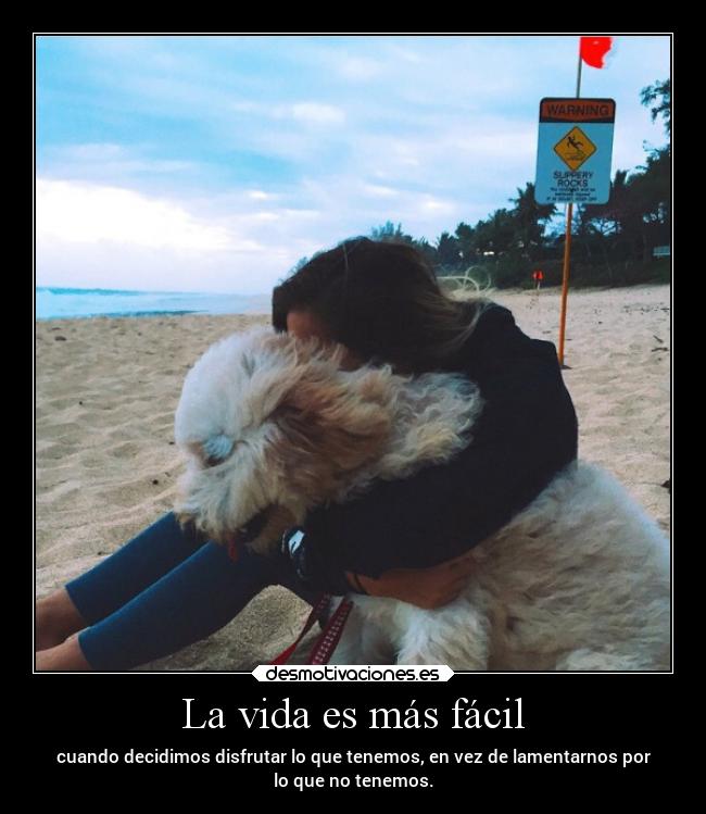 La vida es más fácil - 