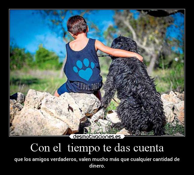 carteles vida amistad dinero sincera projectd raptorhunters leccion desmotivaciones