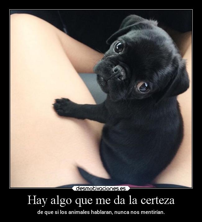 Hay algo que me da la certeza -