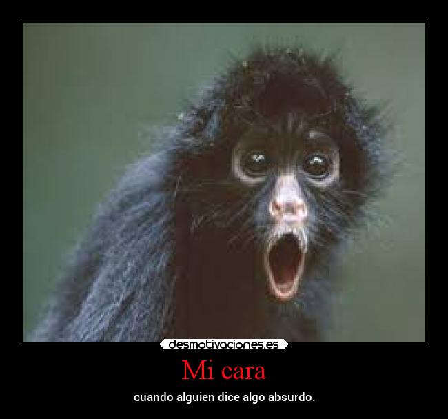 Mi cara - cuando alguien dice algo absurdo.