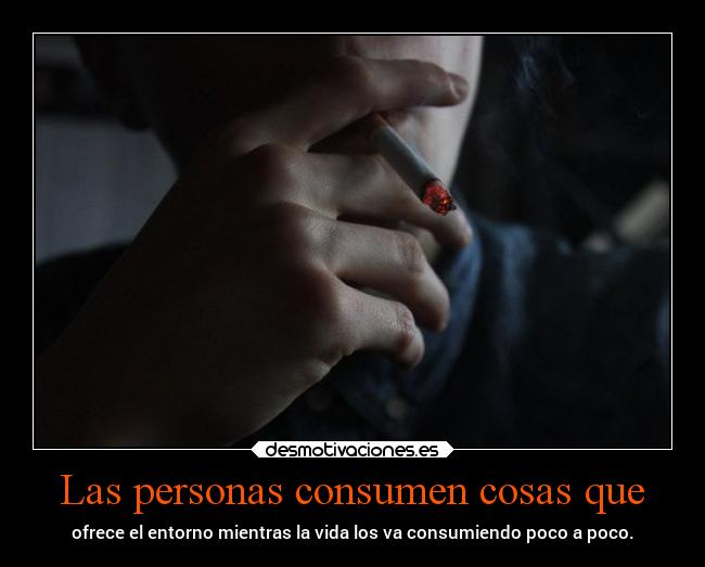 Las personas consumen cosas que - 