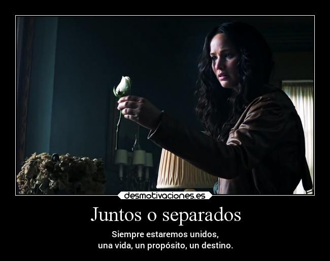 Juntos o separados - Siempre estaremos unidos,
una vida, un propósito, un destino.