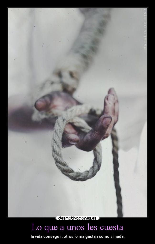 Lo que a unos les cuesta - la vida conseguir, otros lo malgastan como si nada.