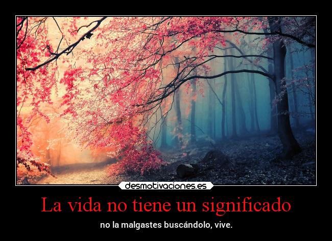 La vida no tiene un significado - no la malgastes buscándolo, vive.