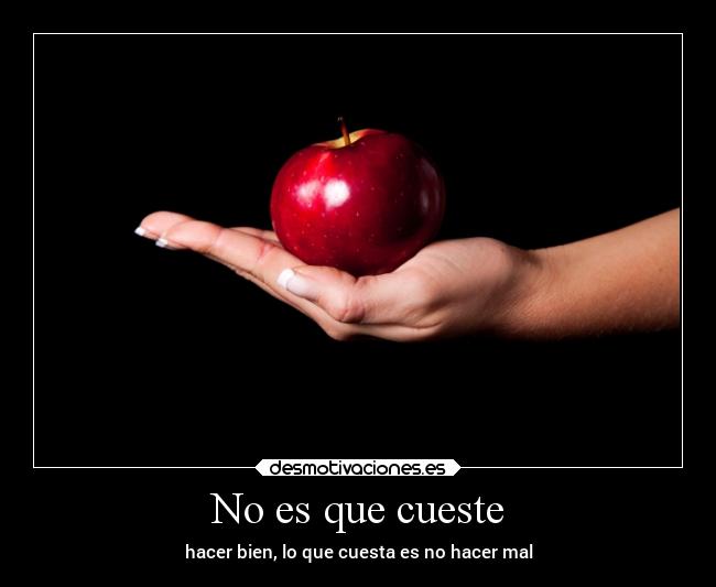 carteles vida reflexion bien mal desmotivaciones