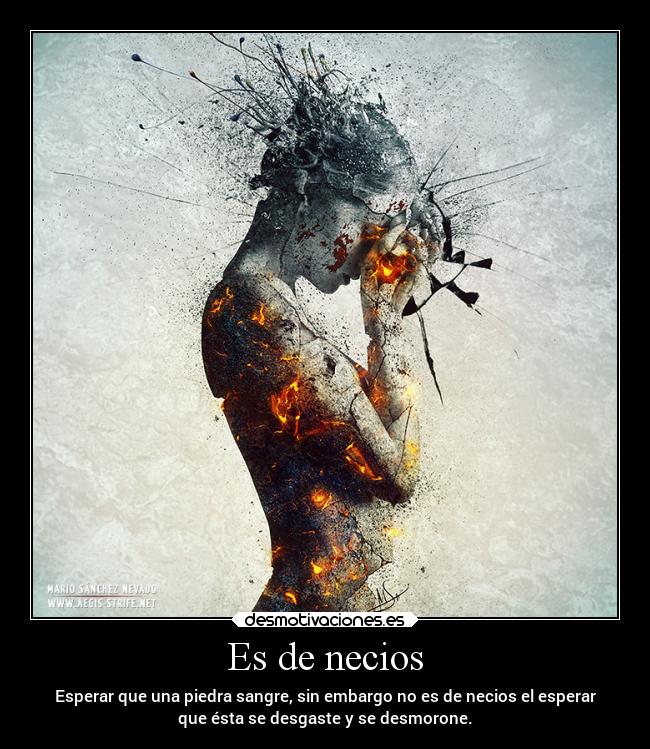 Es de necios - Esperar que una piedra sangre, sin embargo no es de necios el esperar
que ésta se desgaste y se desmorone.