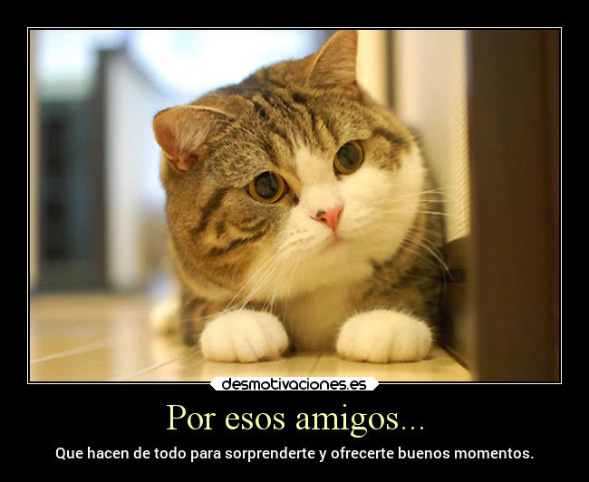 Por esos amigos... - Que hacen de todo para sorprenderte y ofrecerte buenos momentos.