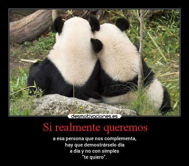 Si realmente queremos -