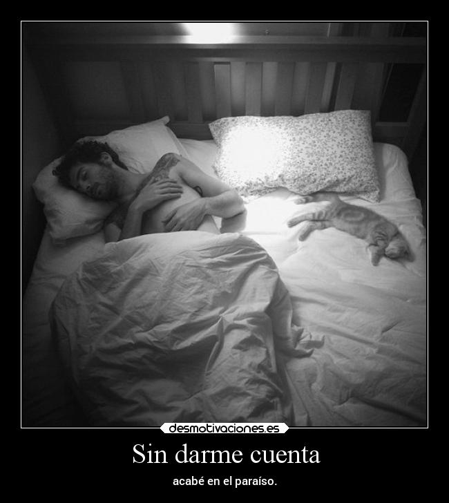 carteles amor elchicodeayer desmotivaciones