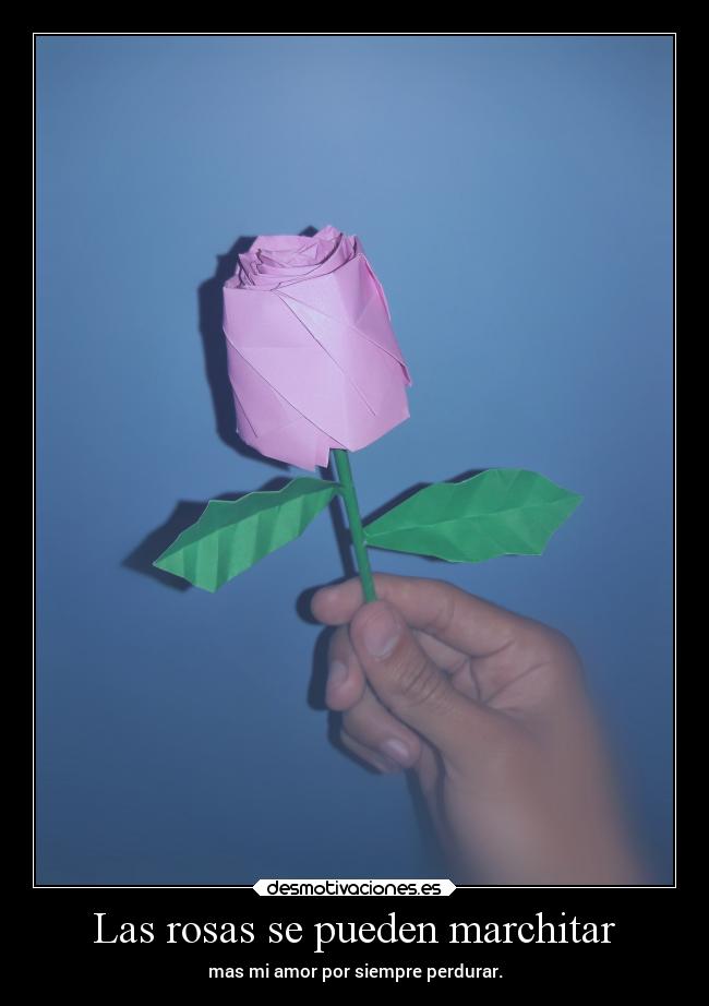Las rosas se pueden marchitar - mas mi amor por siempre perdurar.