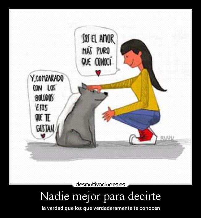 carteles amor lindos verdad desmotivaciones