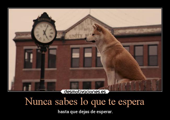 carteles amor tristeza cine eterno hachico desmotivaciones