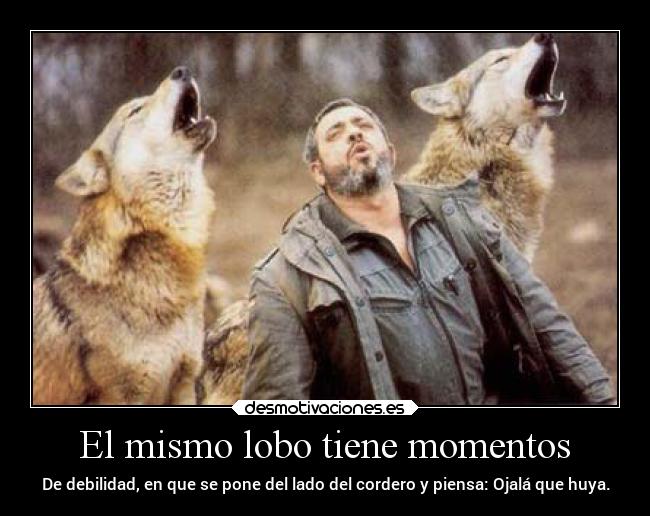 El mismo lobo tiene momentos - De debilidad, en que se pone del lado del cordero y piensa: Ojalá que huya.