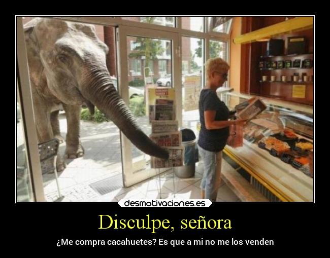 carteles animales desmotivaciones