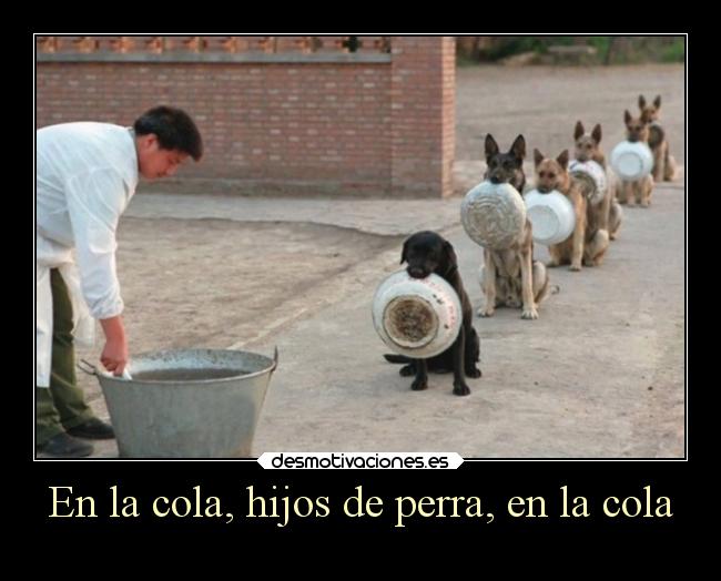 En la cola, hijos de perra, en la cola -