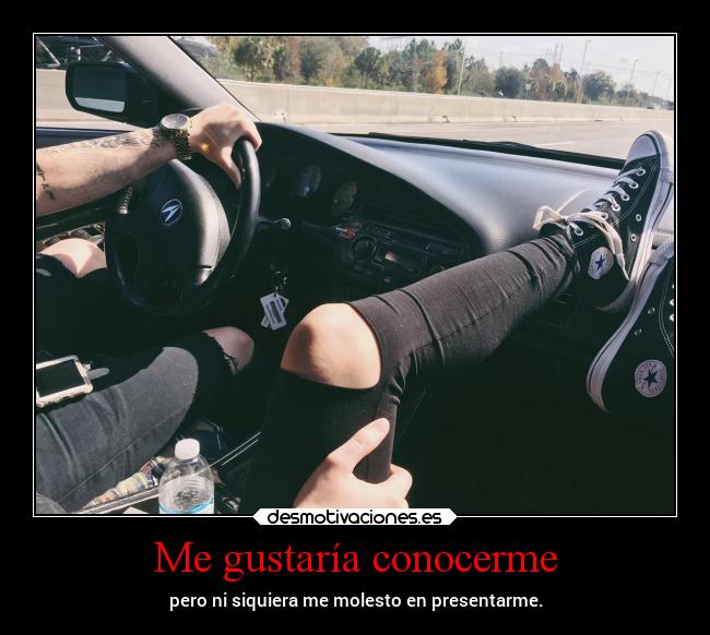 Me gustaría conocerme - 