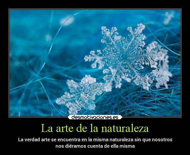 La arte de la naturaleza - La verdad arte se encuentra en la misma naturaleza sin que nosotros
nos diéramos cuenta de ella misma