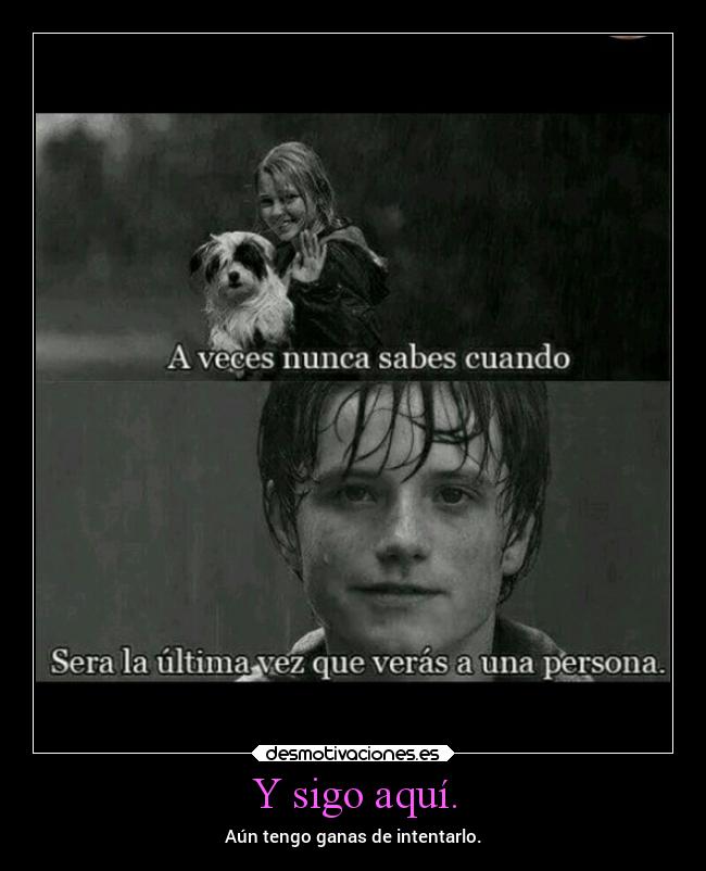 carteles ausencia dolor amorroto desmotivaciones