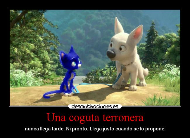 Una coguta terronera - nunca llega tarde. Ni pronto. Llega justo cuando se lo propone.