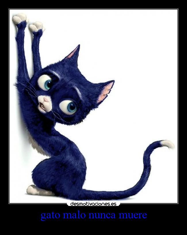 gato malo nunca muere -